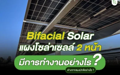 Bifacial Solar แผงโซล่าเซลล์ 2 หน้า มีการทำงานอย่างไร ?