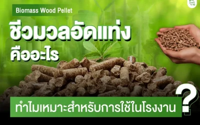 Biomass wood pellet ชีวมวลอัดแท่งคืออะไร? ทำไมเหมาะสำหรับใช้ในโรงงาน