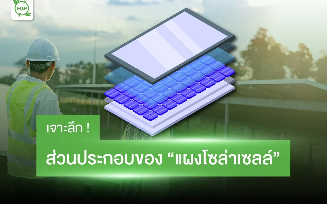 ส่วนประกอบของแผงโซล่าเซลล์ (Solar Panel) ที่ควรรู้ก่อนติดตั้ง